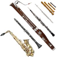 Holzblasinstrumente Blockflöte Querflöte Oboe Fagott Klarinette Saxophon